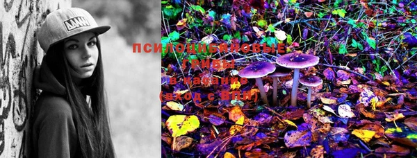 MESCALINE Горно-Алтайск