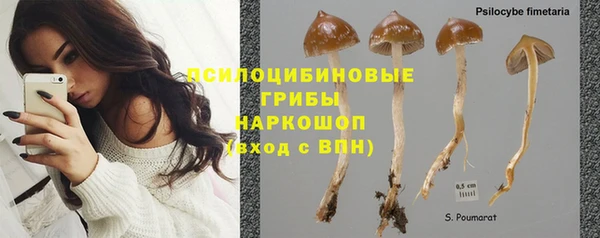 круглые Гусиноозёрск