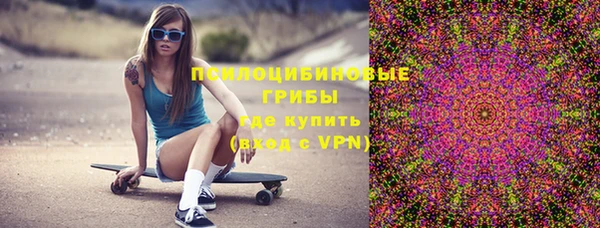 круглые Гусиноозёрск