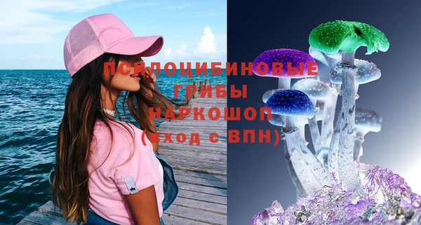 круглые Гусиноозёрск