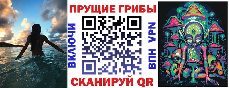 Псилоцибиновые грибы MAGIC MUSHROOMS  ОМГ ОМГ рабочий сайт  Заринск  как найти наркотики 